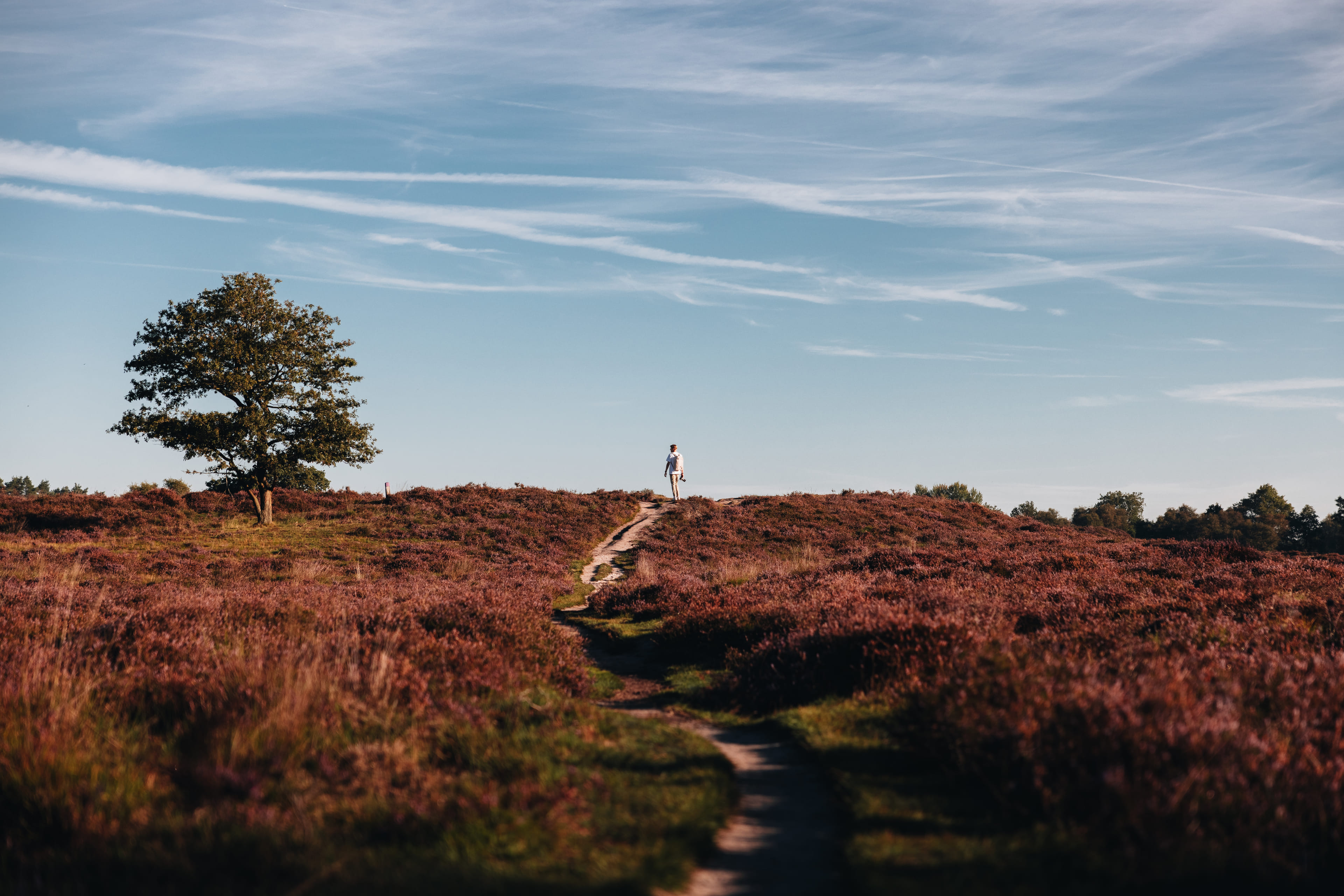 Generieke afbeelding voor image content