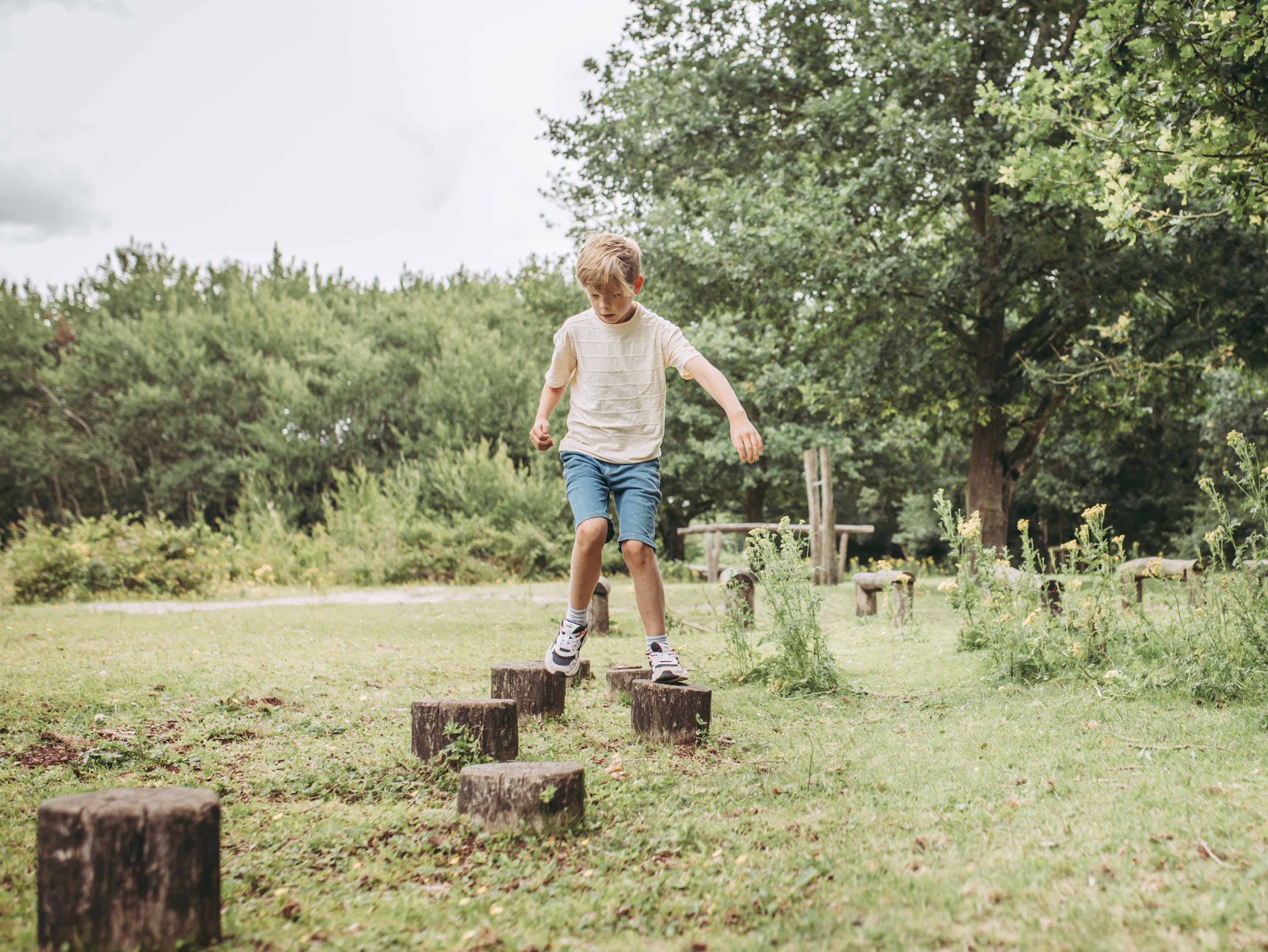 Generieke afbeelding voor image content