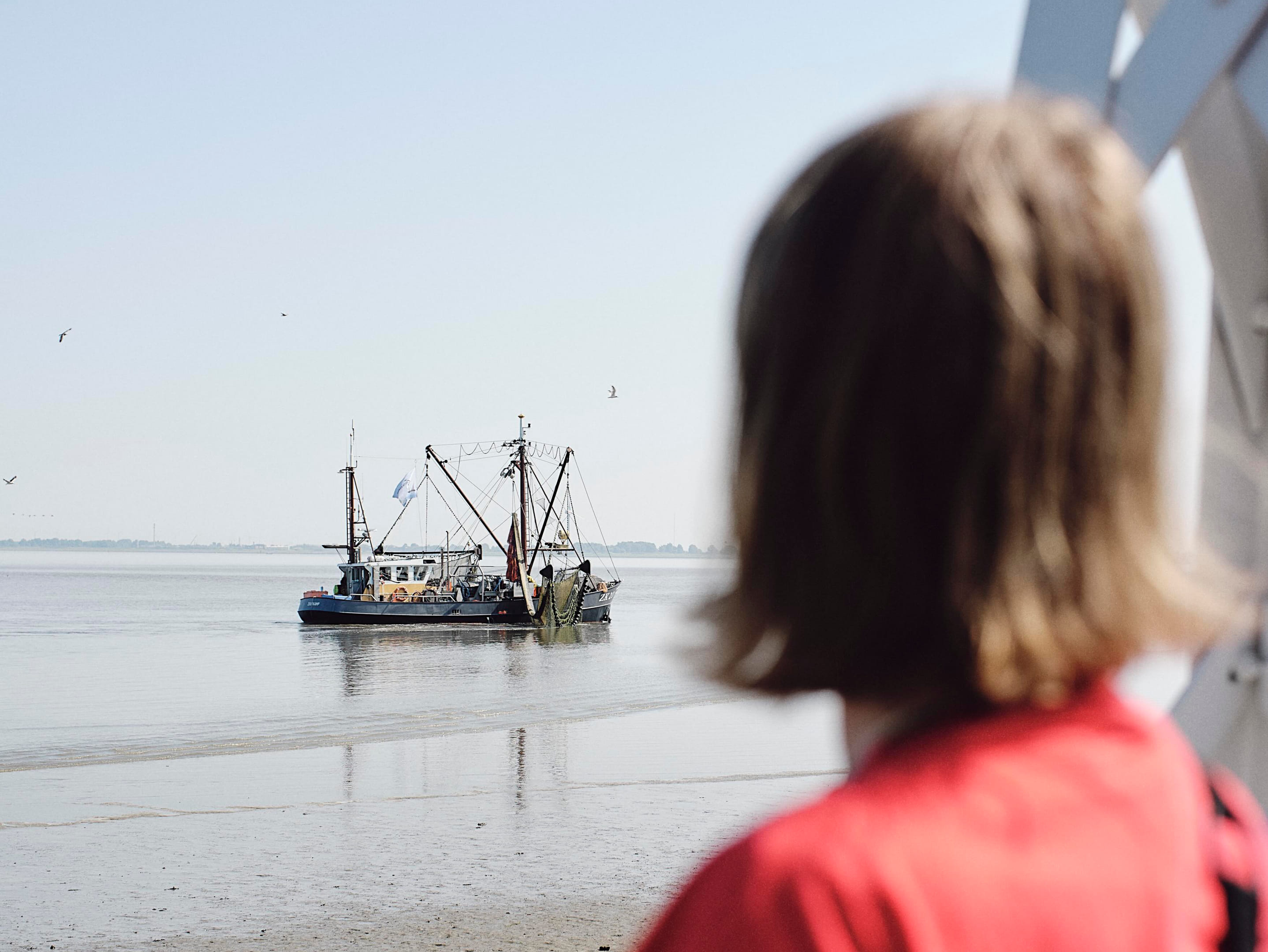 Generieke afbeelding voor image content