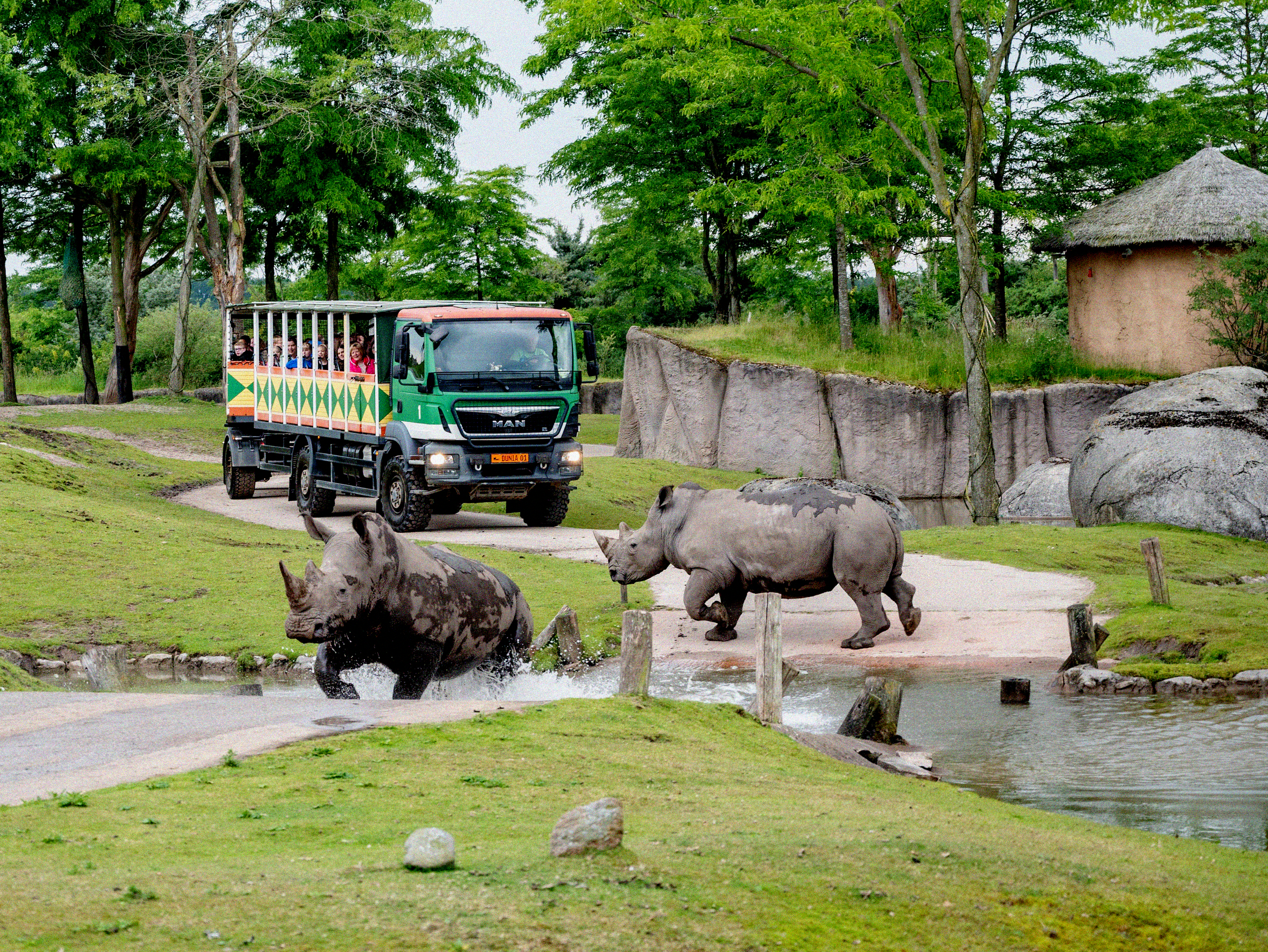 Generieke afbeelding voor image content