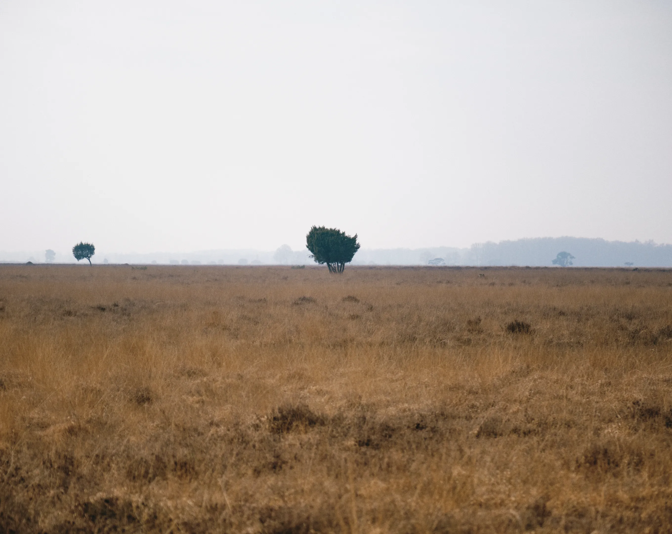 Generieke afbeelding van een nieuws artikel